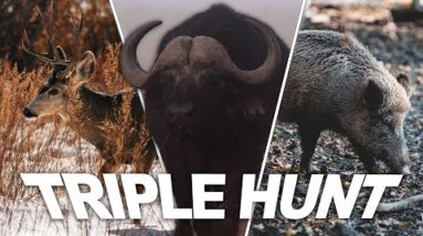 3 KILLS - BUCK FLIPS, MINI CROSSBOW HOGS, AND CAPE BUFFALO AIRGUN HEARTSHOT