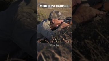 500+ YARD HEADSHOT ON WILDEBEEST