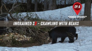 Ingrained S2 Bonus Episode 6 - Crawling With Bears