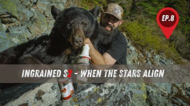 Ingrained S2 Episode 8 - When The Stars Align