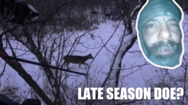 Late Season Bowhunting: Freezing at the Fort Part 2