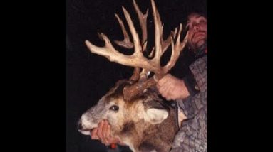 Big bucks year after year in 6 steps