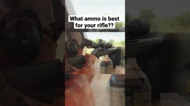 Ammo is EVERYTHING for accuracy | Full Video in Description