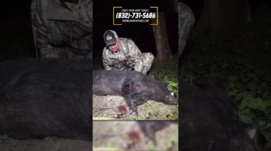 Wild hog SKEWERED in thermal vision!! | Texas Hog Hunting