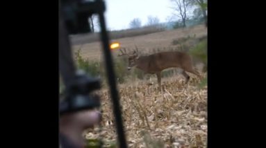 The Big Buck Decoy Dance, SLOCK!