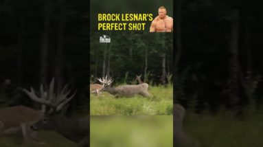 Brock Lesnar not only takes down pro wrestlers, but he can also take down a MASSIVE whitetail buck!