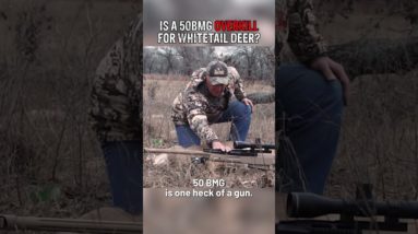 .50 BMG Hunt Whitetail Deer Hunting