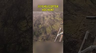 HOG MAYHEM | Keith reflects on his 2019 helicopter HOG HUNT!