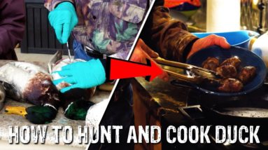 How to Hunt, Clean & Cook Ducks This Season!