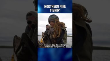 Matti goes Northern Pike Fishing in Canada....what a catch!