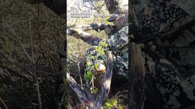 Gobbler Shot while RUNNING! - G2Ranch call (210) 419-4442!