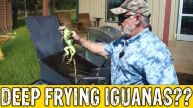 How to Cook Iguanas??