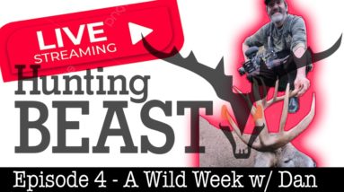 (Live!) The Beast Report - Episode 4 - A Wild Week w/ Dan!