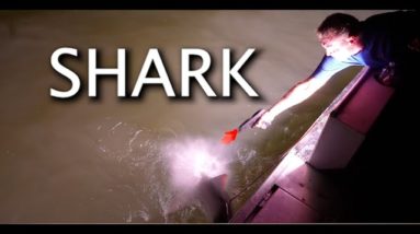 The Hunt for Sharks, Hell Island part 2