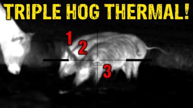 3 HOGS at ONCE with Double Barrel Air Gun