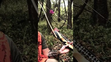 Longbow Arkansas Buck 180 FPS