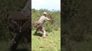 Hawaiian Spear Kill