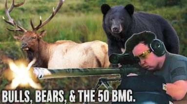 Bulls, Bears and the 50 BMG