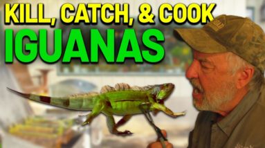 Iguana Cooking