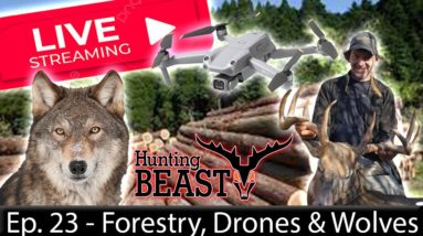 (Live!) The Beast Report - Episode 23 - Forestry, Drones, Wolves & Big Woods