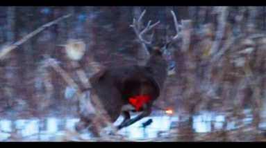 A Frostbite Monster Buck with a Bow, Chronicle 44