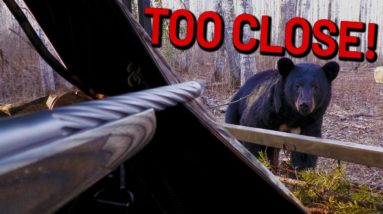 Close Bear Encounters and Mexican Gobblers