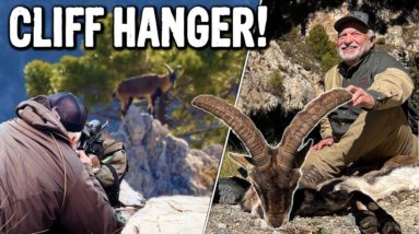 Spanish Ibex In The Treacherous Mountains Of Spain