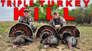 Turkey Hunting | Triple Kill!