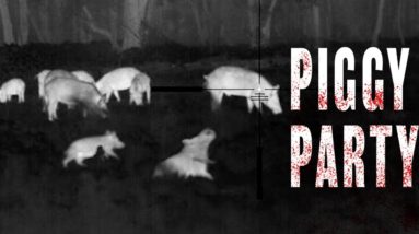 Poppin Pigs & Conroe Party!