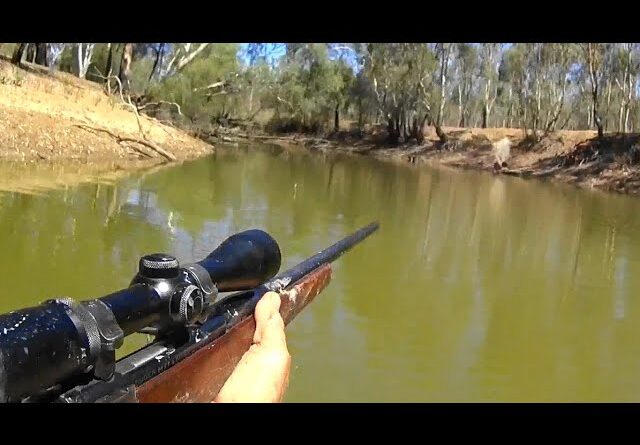 In the mind of a Rifleman.