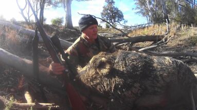 Full 'predator mode' boar hunt, best of the last trip.