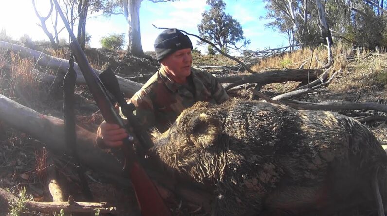 Full 'predator mode' boar hunt, best of the last trip.
