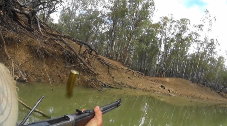 Back in the kayak for a classic hunt on the billabong.