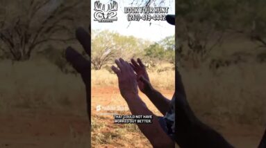 Air Gun SMOKES Bison!  - G2Ranch