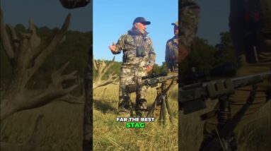 Epic Stag Hunt: Unbelievable Shot & World-Class Trophy at Venator USA! #shorts