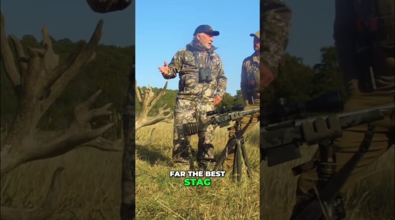 Epic Stag Hunt: Unbelievable Shot & World-Class Trophy at Venator USA! #shorts
