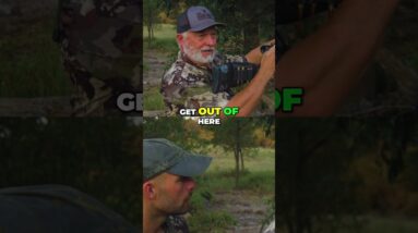 Deer Outsmarts Hunters: Epic Night Hunting Tech & Strategy! #shorts