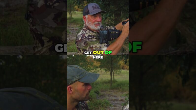 Deer Outsmarts Hunters: Epic Night Hunting Tech & Strategy! #shorts