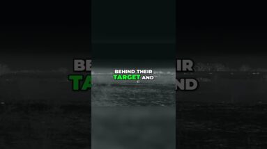 Night Hunt: One Hog in Sight, Easy Shot!  #shorts