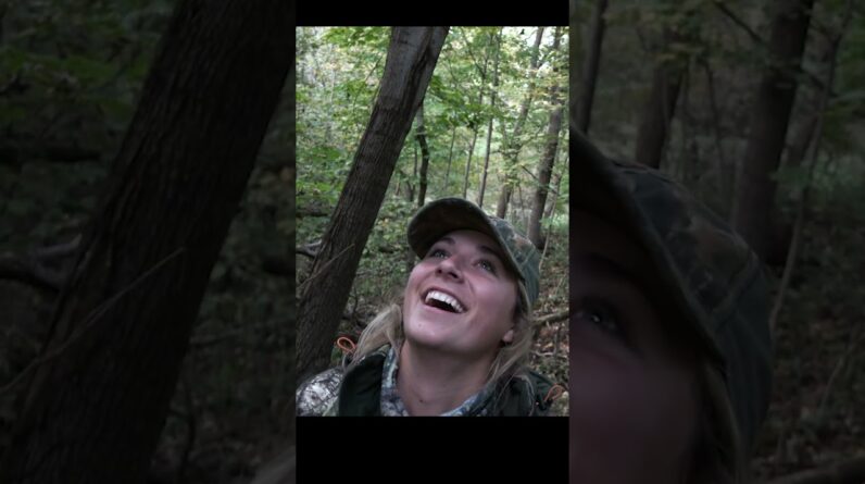 Spot and Stalk Big Whitetail