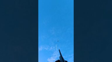 A plane and a goose in one shot.