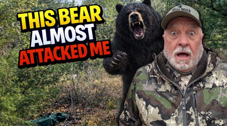 CLOSE ENCOUNTER BEAR TRIP | 2 BEARS TAKEN