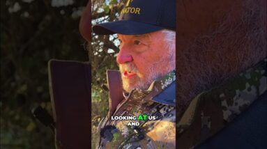 Deer's Unaware Moment: Hunters' Shot vs. Appreciation, What Happens? #shorts