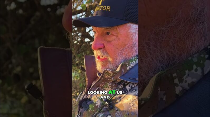 Deer's Unaware Moment: Hunters' Shot vs. Appreciation, What Happens? #shorts