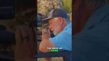 Checking Zero and Effective Range Before the Hunt: Shooting Guide #shorts