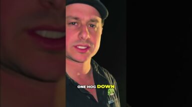 Hog Hunting: One Shot, One Kill! Watch Hunters in Action #shorts