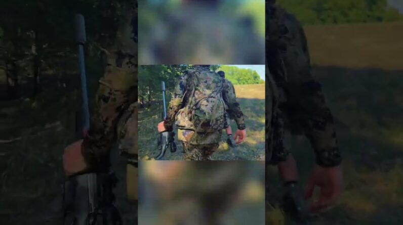 Hunter's Dilemma: The Elk's Fate in the Crosshairs #shorts