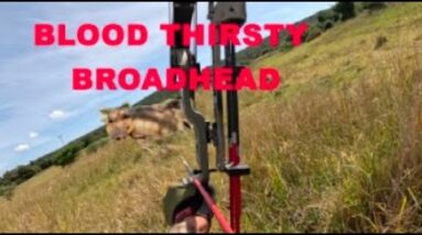 It cut bone and sunk home.