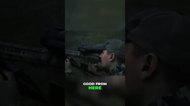 Night Vision Hunting: Patience, Precision, and the Perfect Shot! #shorts