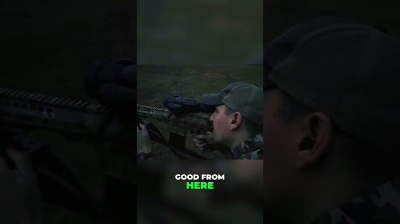 Night Vision Hunting: Patience, Precision, and the Perfect Shot! #shorts